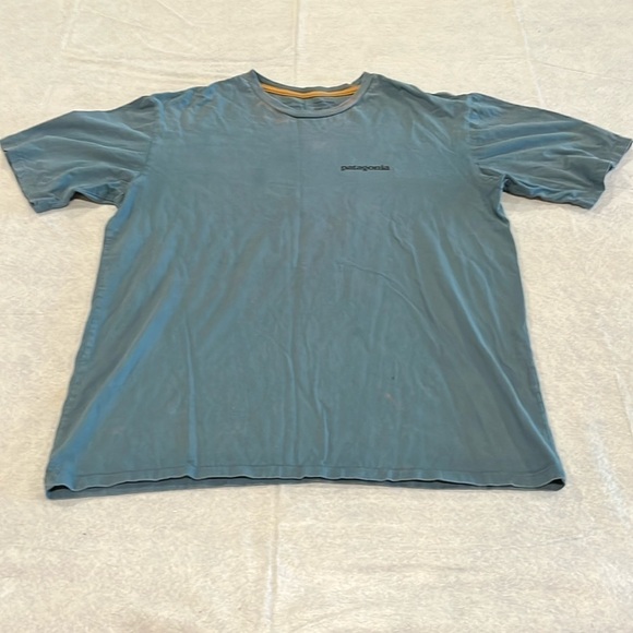 Patagonia Tops - Patagonia T-shirt, small